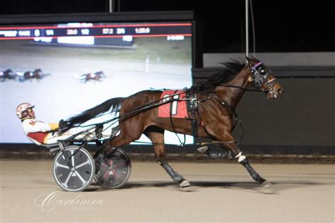 northfield harness results|Merriman scores eight victories at Northfield – Harnesslink.